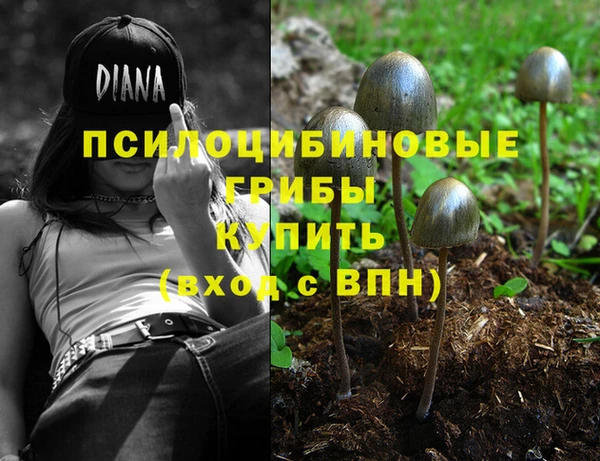 не бодяженный Балахна