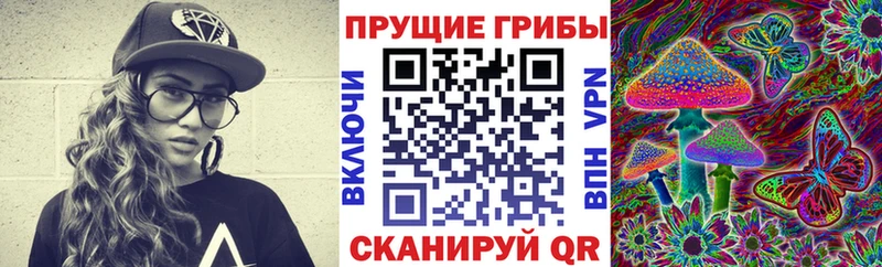 как найти закладки  Городец  Псилоцибиновые грибы мицелий 